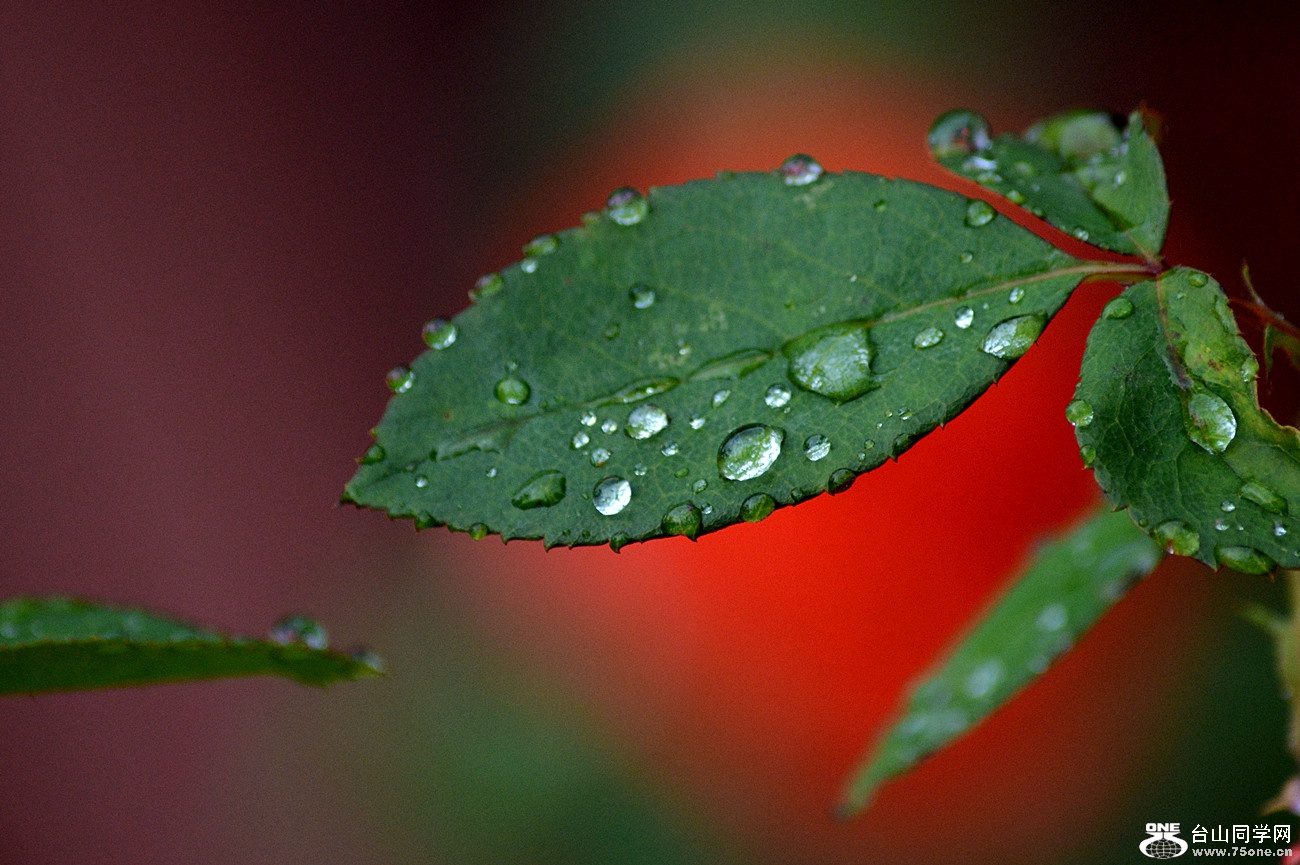 DSC_0484_19.jpg