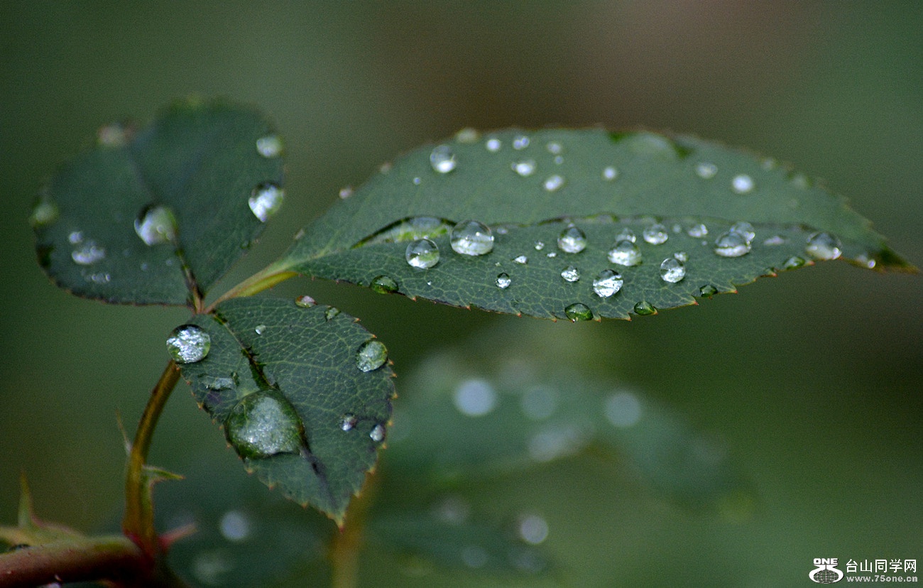 DSC_0521_11.jpg