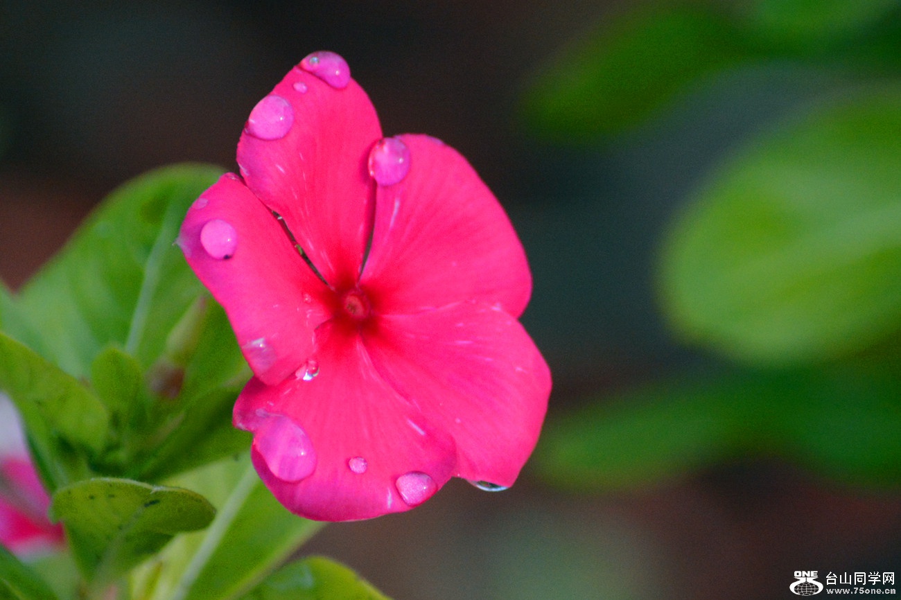 DSC_0570_44.jpg