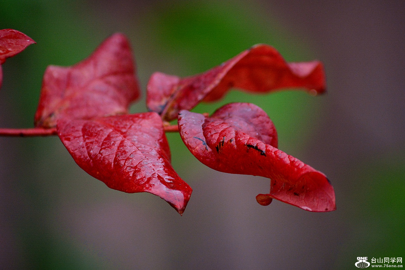DSC_0432_26.jpg