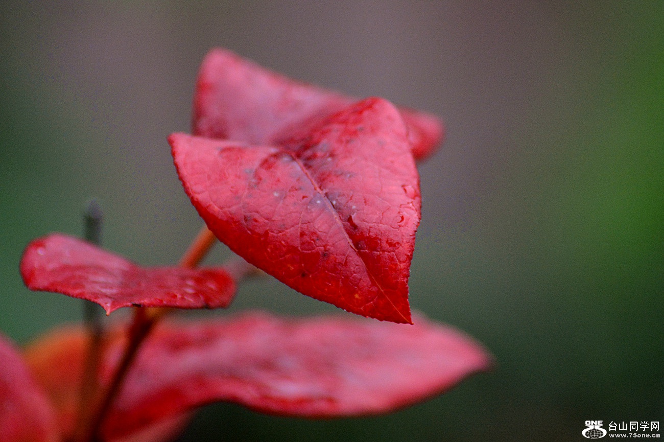DSC_0430_26.jpg