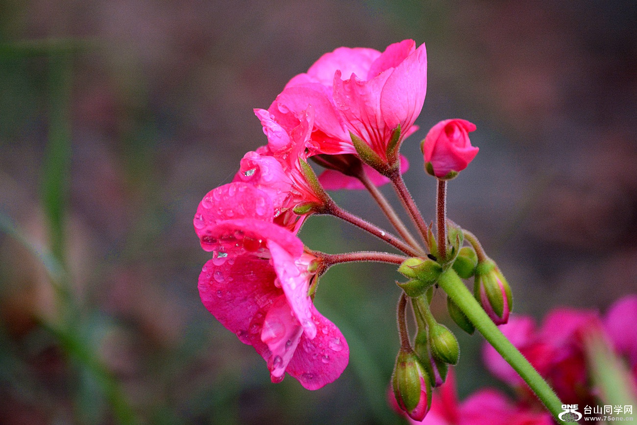 DSC_0566_45.jpg
