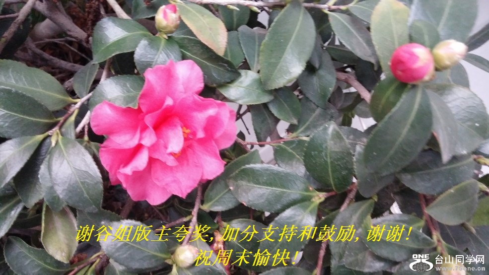 лȽ佱,ӷֺ֧͹,лл!ףĩ!.jpg