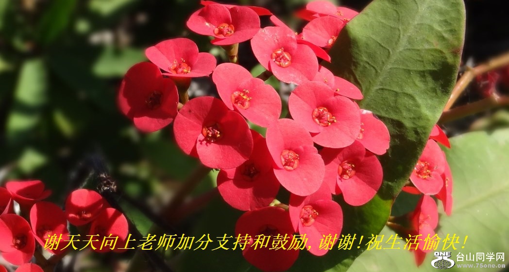 лʦӷֺ֧͹,лл!ף!.jpg