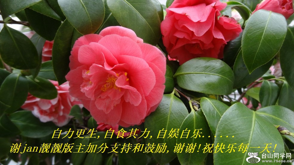 ,ʳ,......лjanӷֺ֧͹,лл!ףÿһ!.jpg