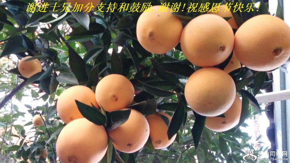 лʿּӷֺ֧͹,лл!ףжڿ!.jpg