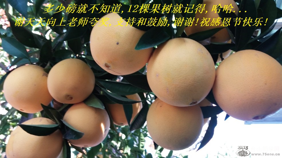 ٰͲ֪,12ùͼǵ,...лʦ佱,ֺ֧͹,лл!ףжڿ!.jpg