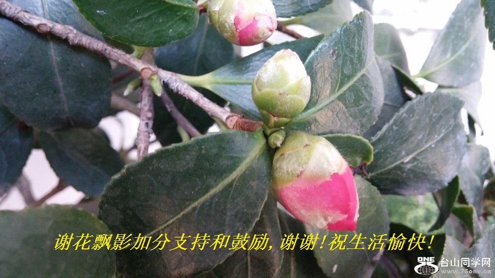 лƮӰӷֺ֧͹,лл!ף!.jpg