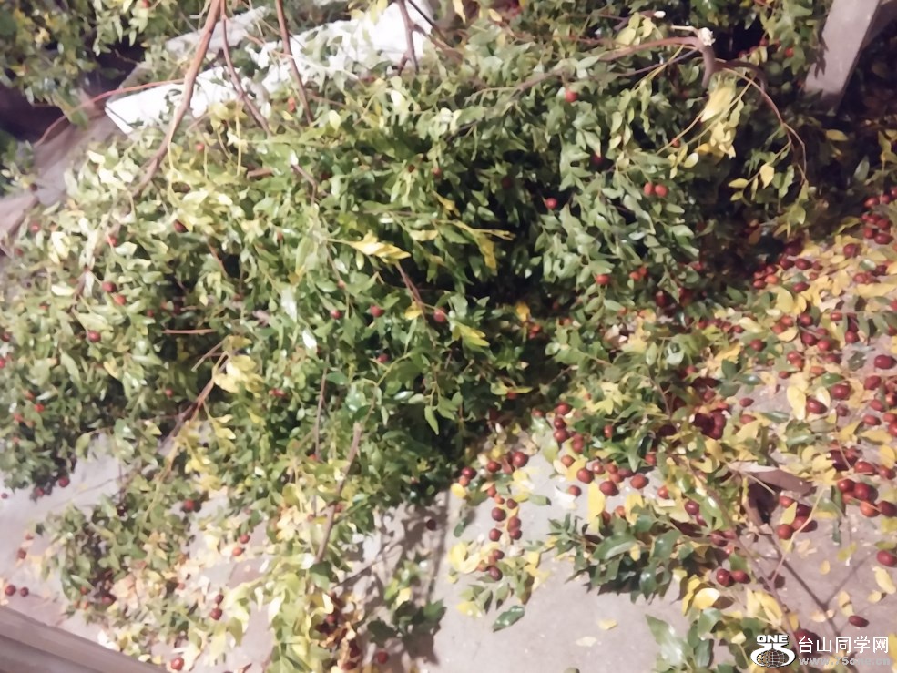 20151029_190405.jpg