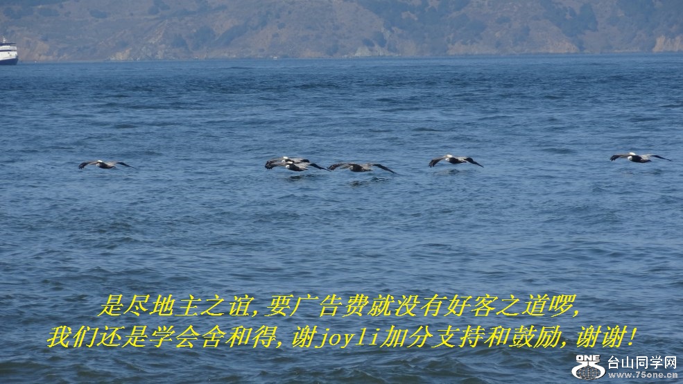 是尽地主之谊,要广告费就没有好客之道啰,我们还是学会舍和得,谢joyli加分支持和鼓励,谢谢!.jpg