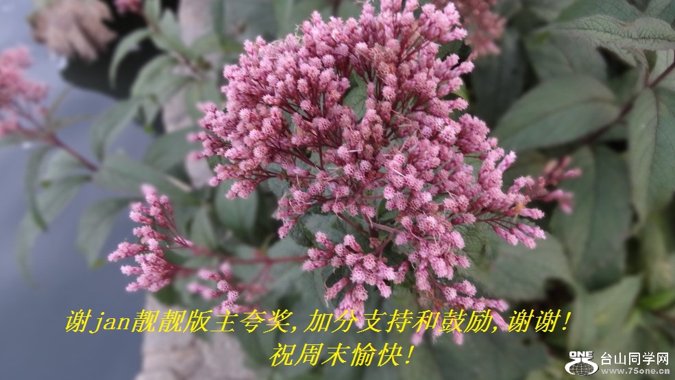 лjan佱,ӷֺ֧͹,лл!ףĩ!.jpg