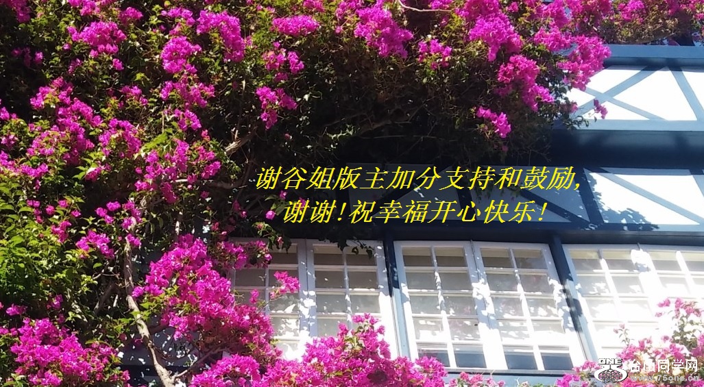 谢谷姐版主加分支持和鼓励,谢谢!祝幸福开心快乐!.jpg