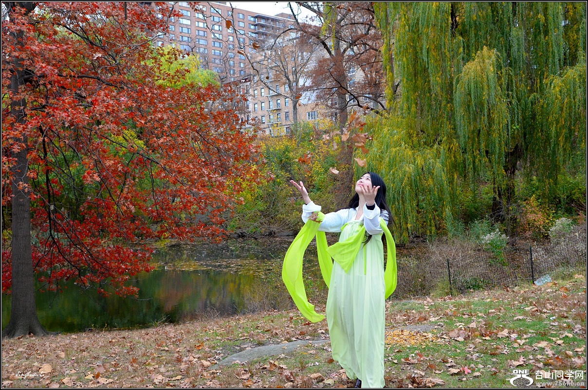 DSC_2795.jpg
