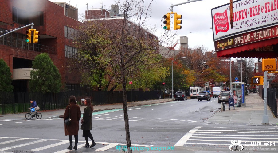 DSC00049a_1.jpg