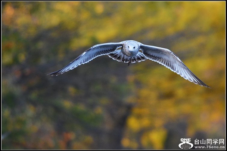 DSC_8778.jpg