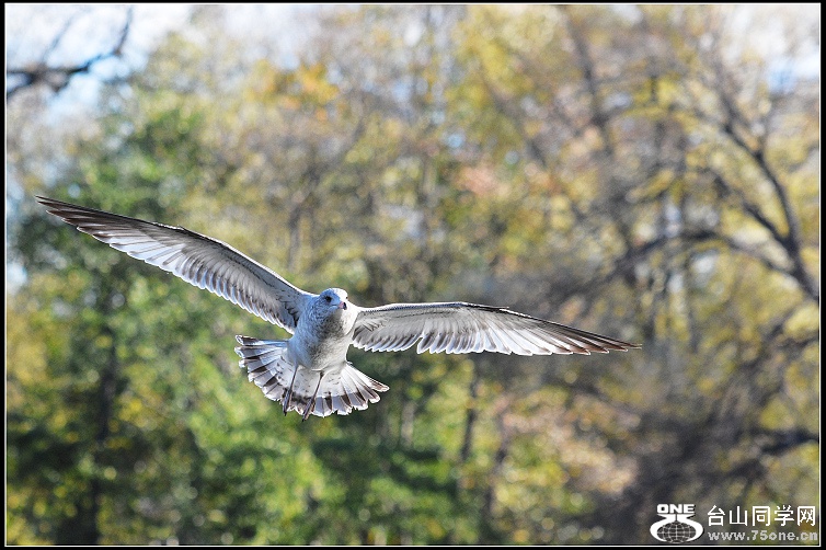 DSC_8583.jpg