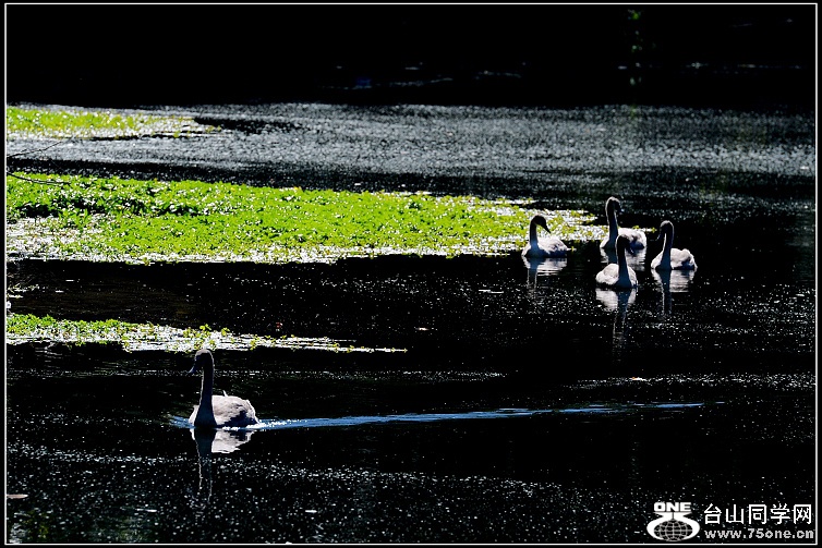 DSC_5494.JPG