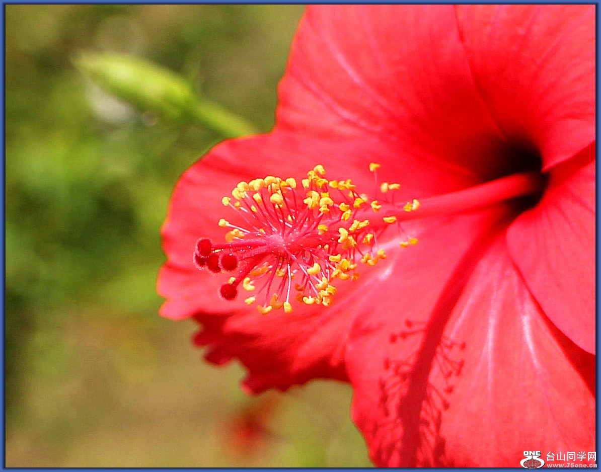 IMG_4140__.jpg
