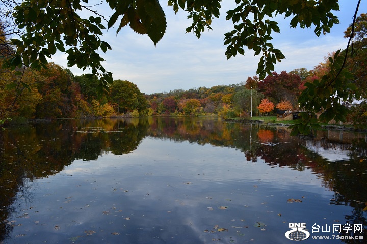 Van Cortland fall 043.jpg