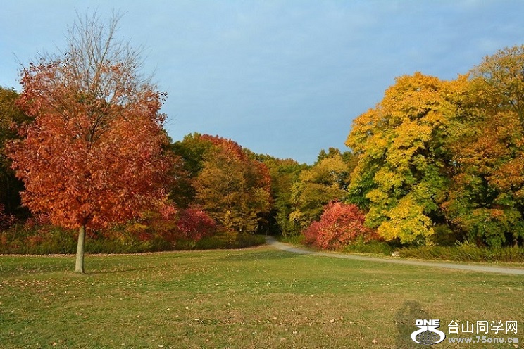 Van Cortland fall 011.jpg