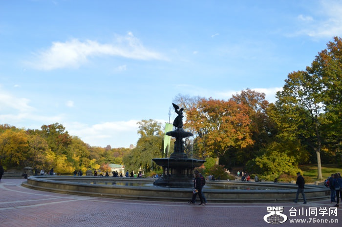 DSC_0500.jpg