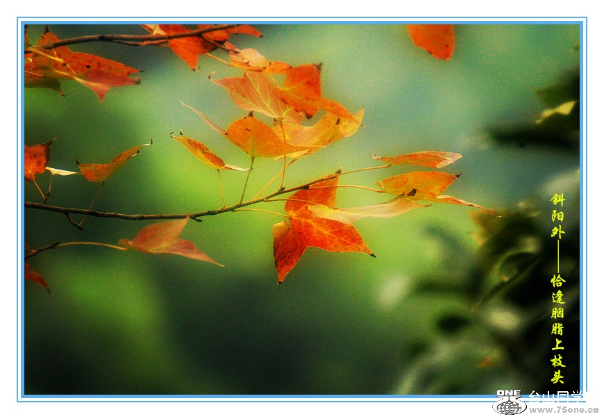 DPP_2015.10.280339_.jpg
