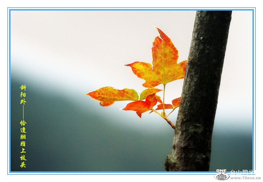 DPP_2015.10.280114_.jpg