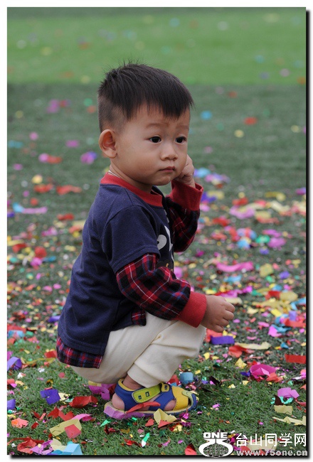 Ƭ 0971.jpg