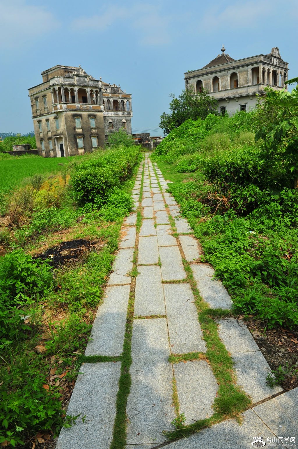 DSC_3236.JPG