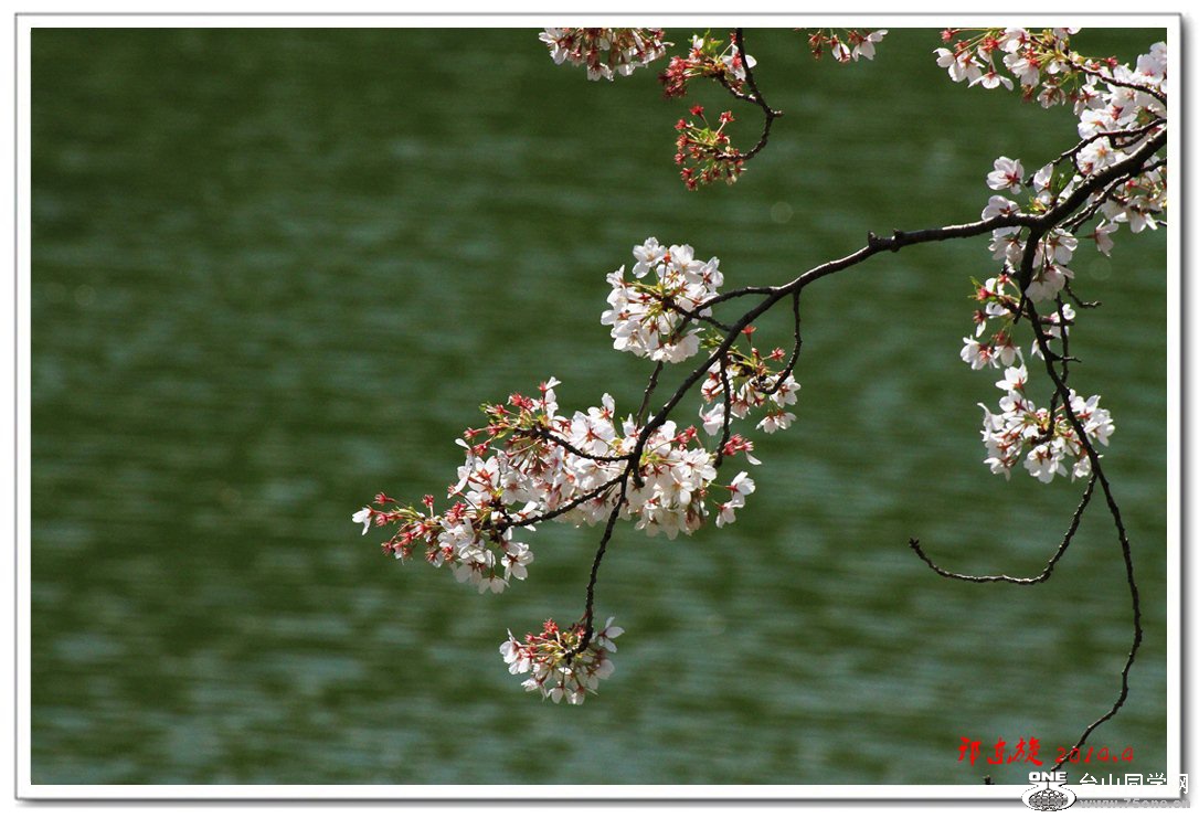 ӣ008.jpg