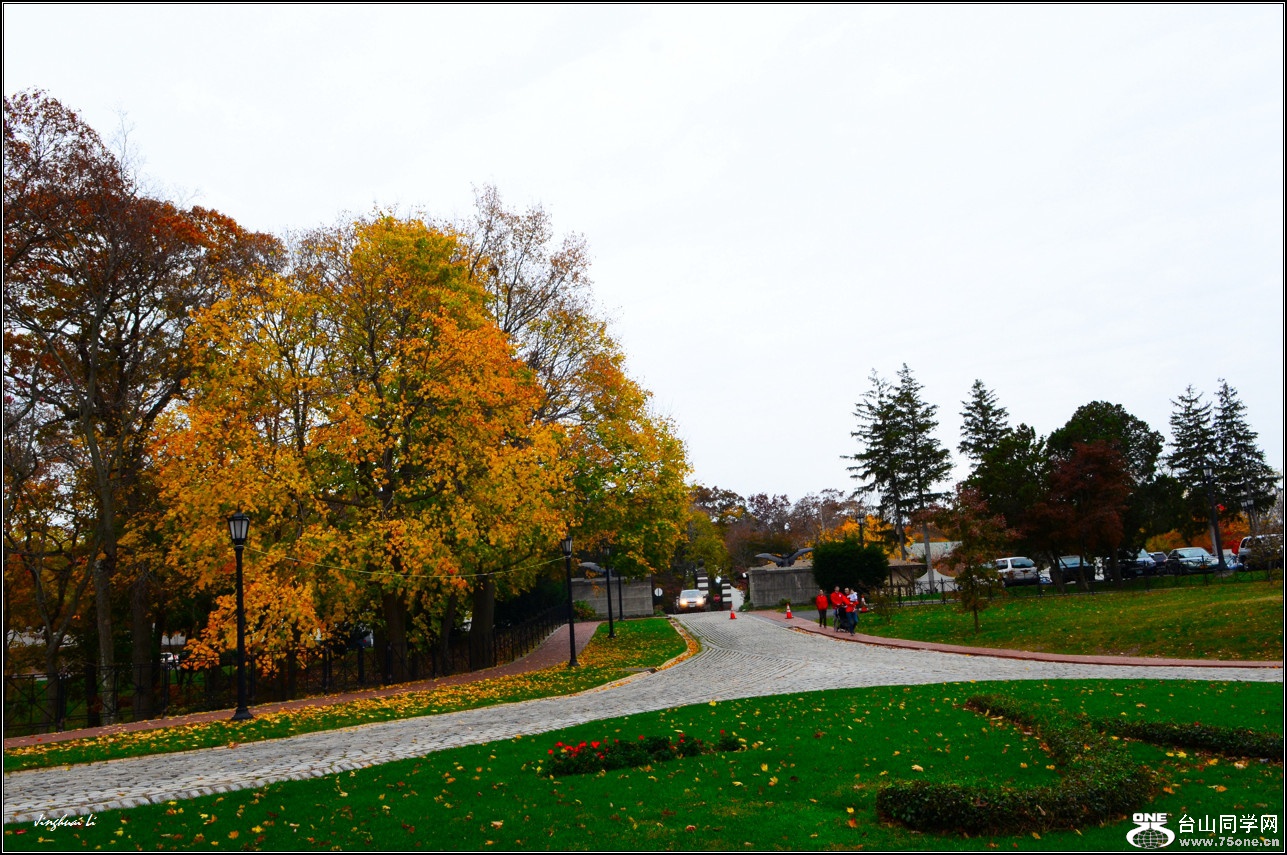DSC_1212.jpg