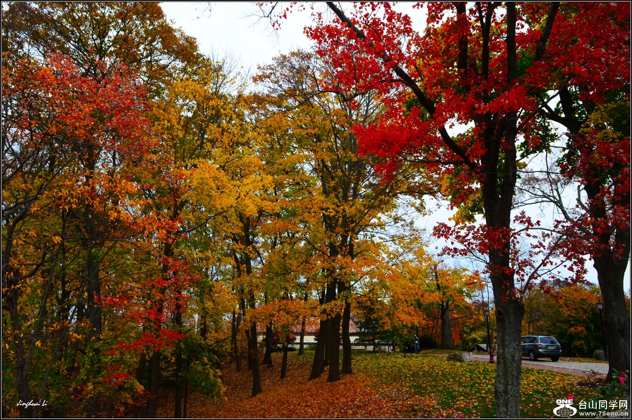 DSC_1213.jpg