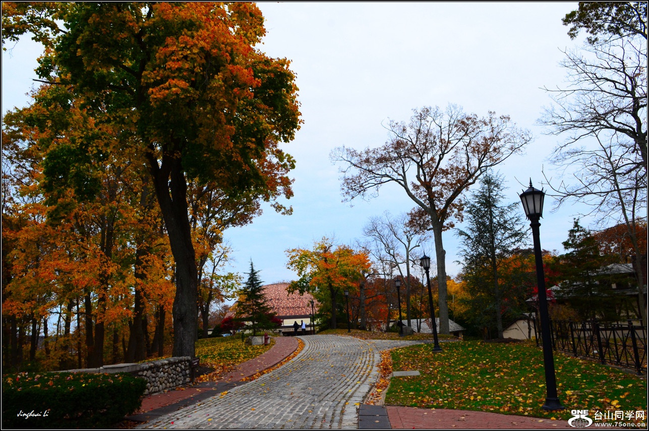 DSC_1210.jpg