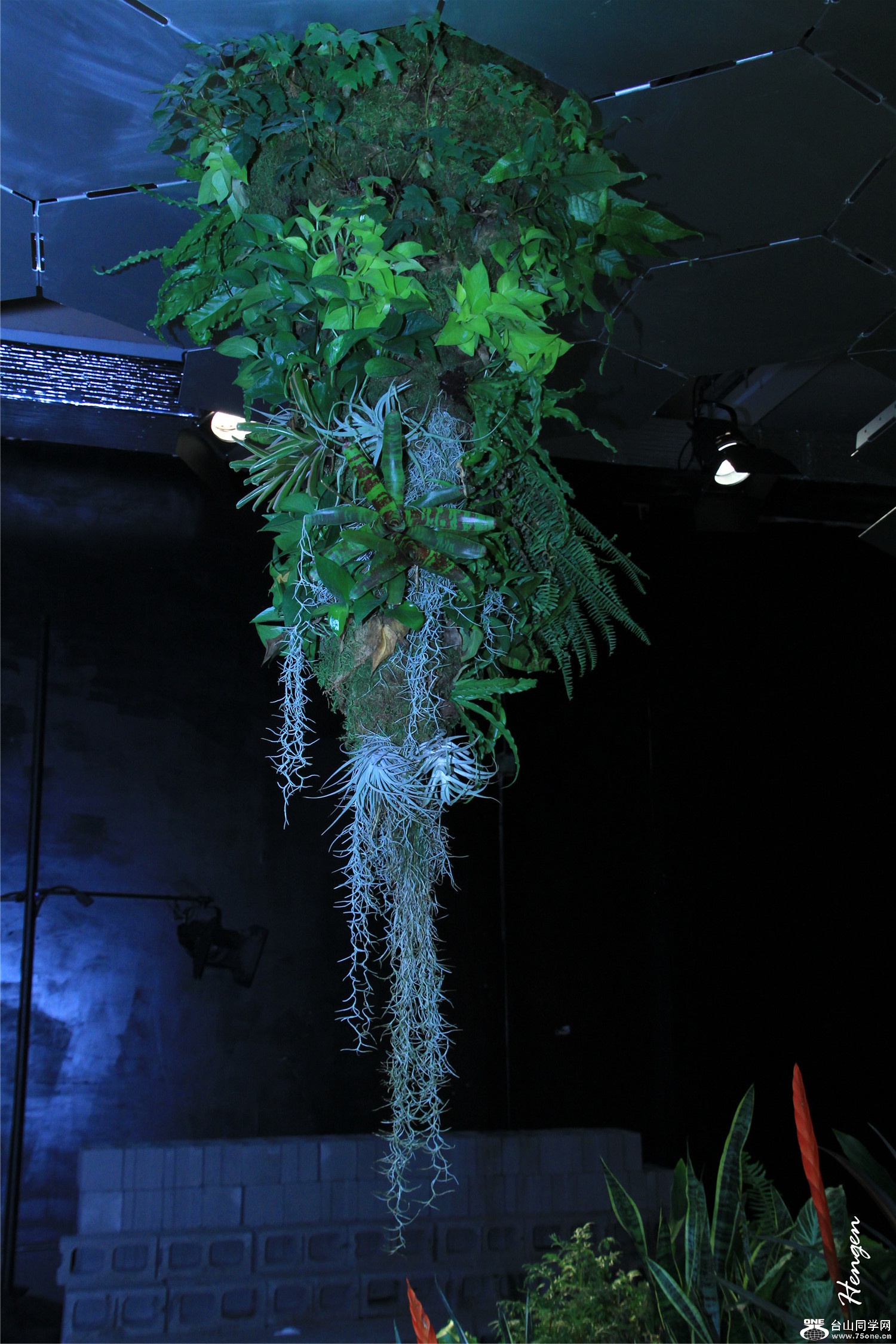IMGL0870.jpg