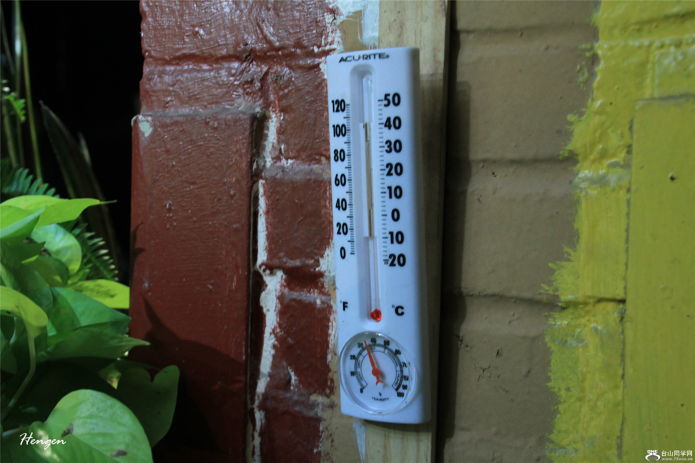 IMGL0853.jpg