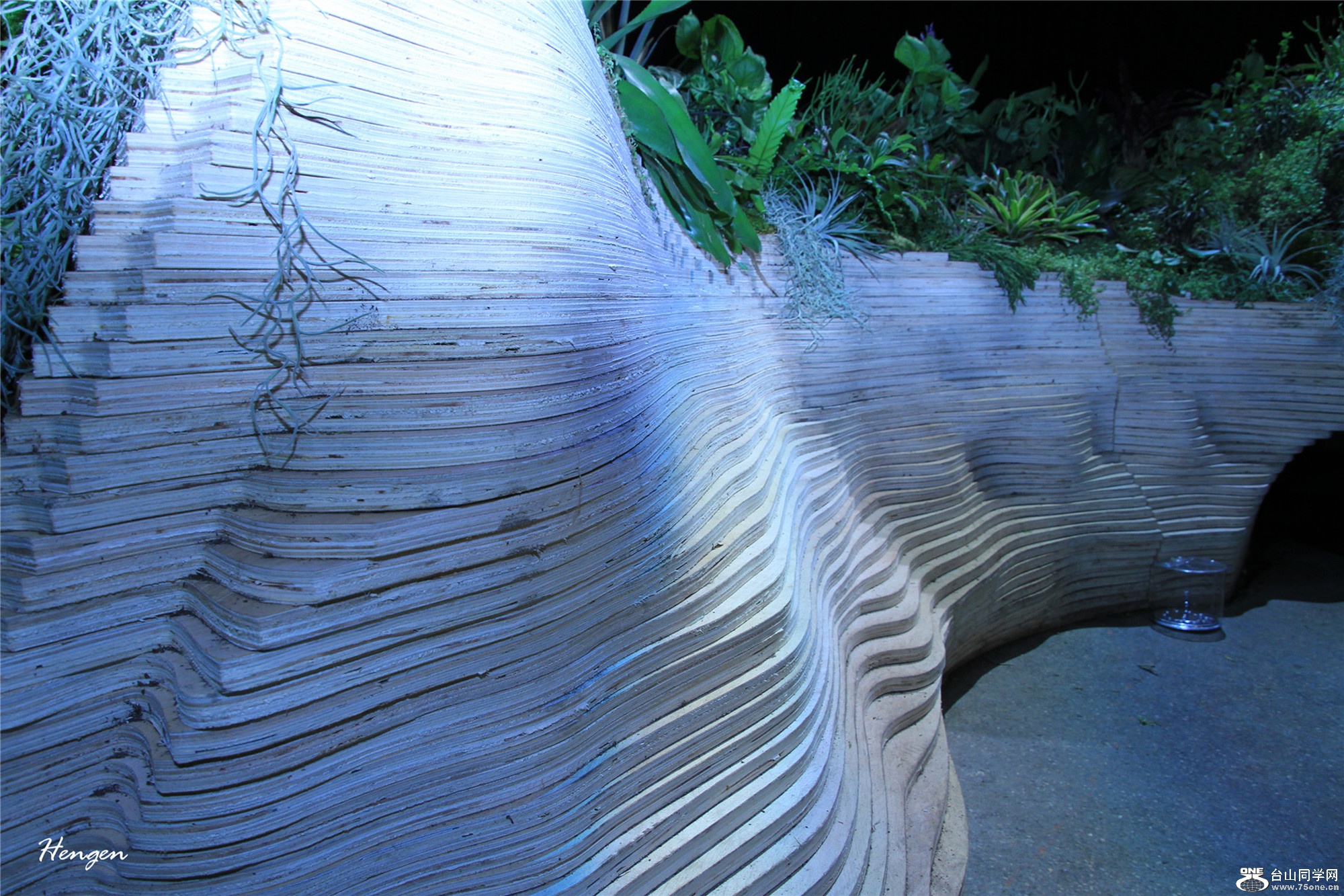 IMGL0886.jpg