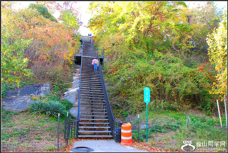 DSC_0340_meitu_13.jpg