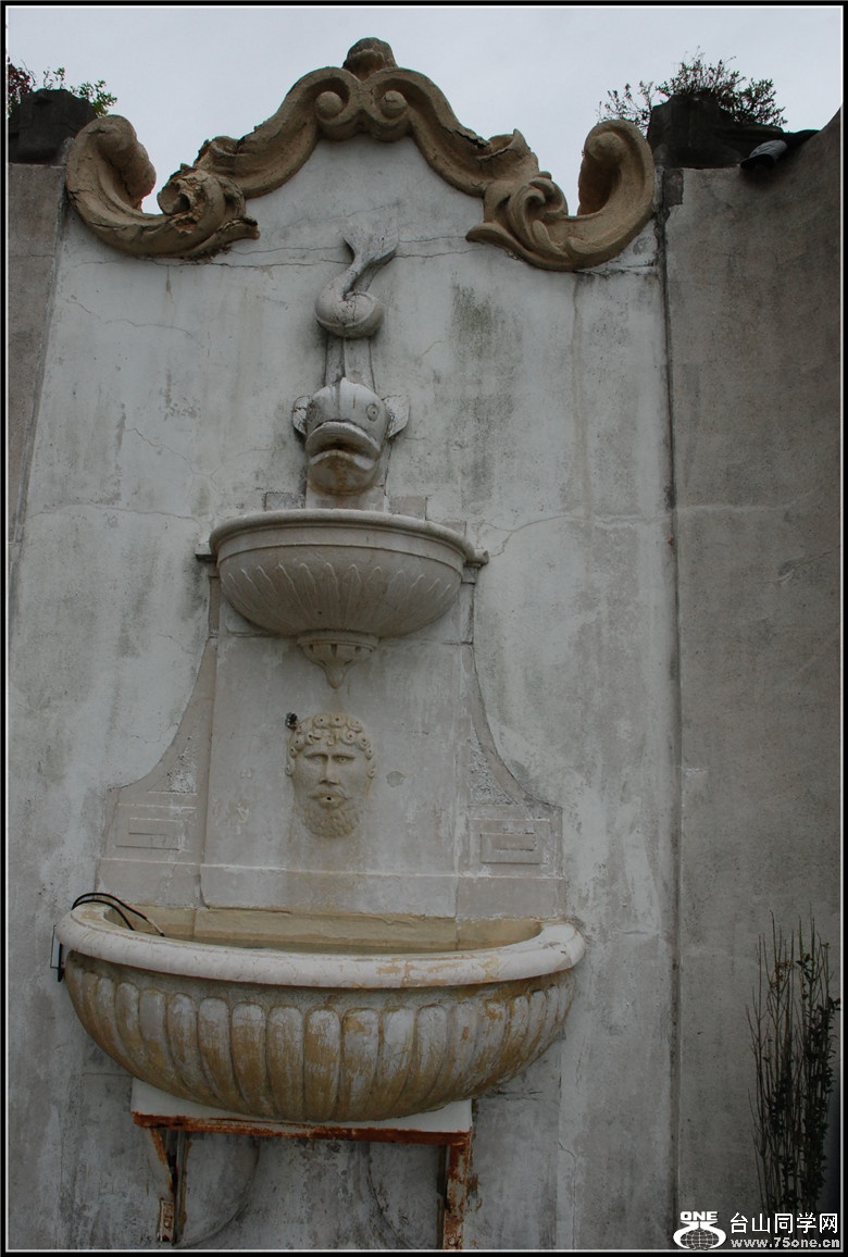 DSC_0216.jpg