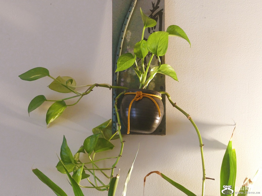 l1020791_conew2.jpg