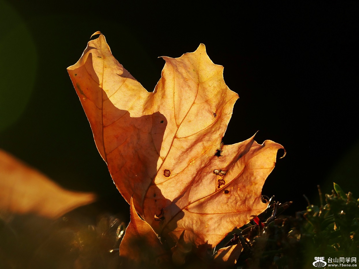l1020892_conew1.jpg