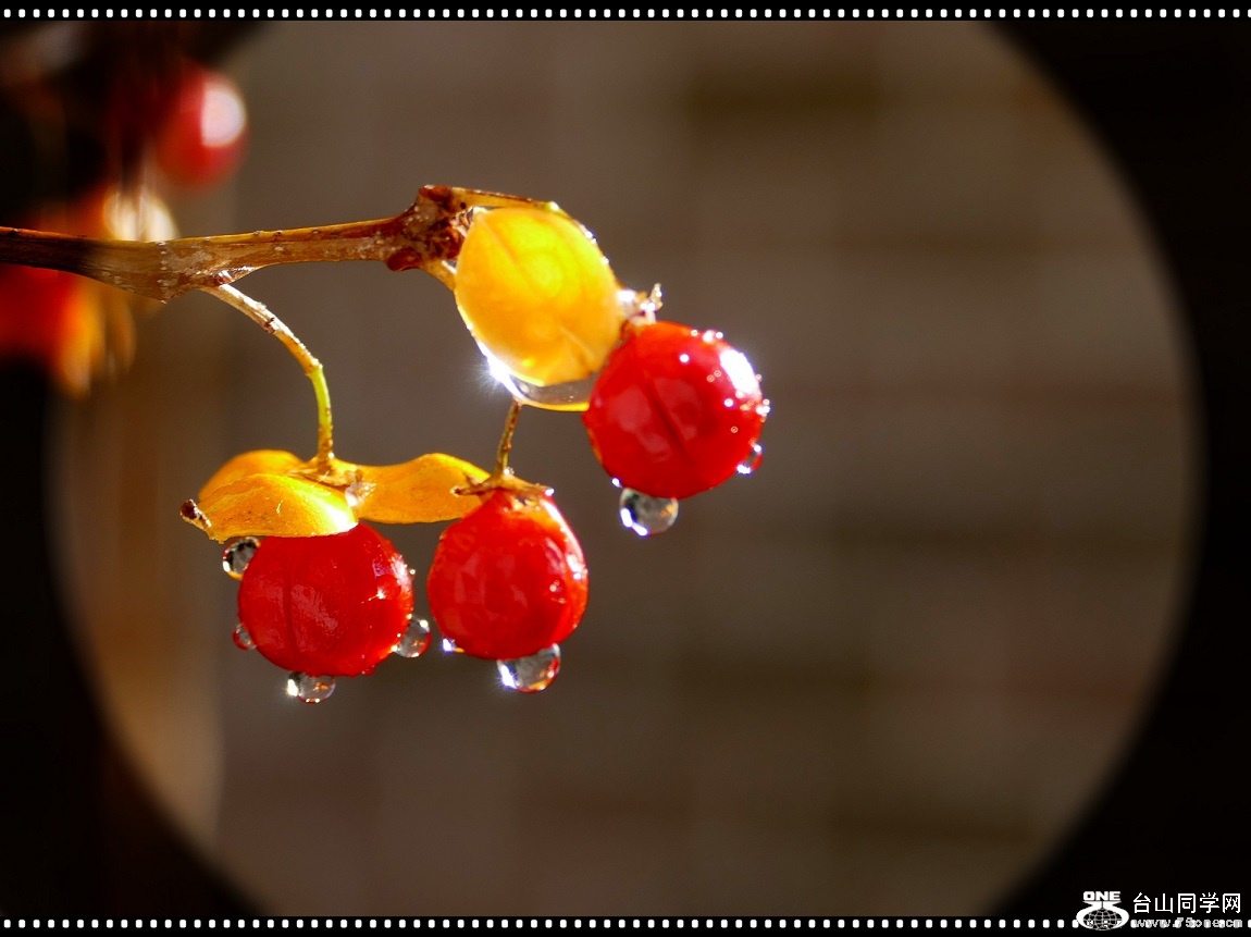 l1040419_conew6.jpg