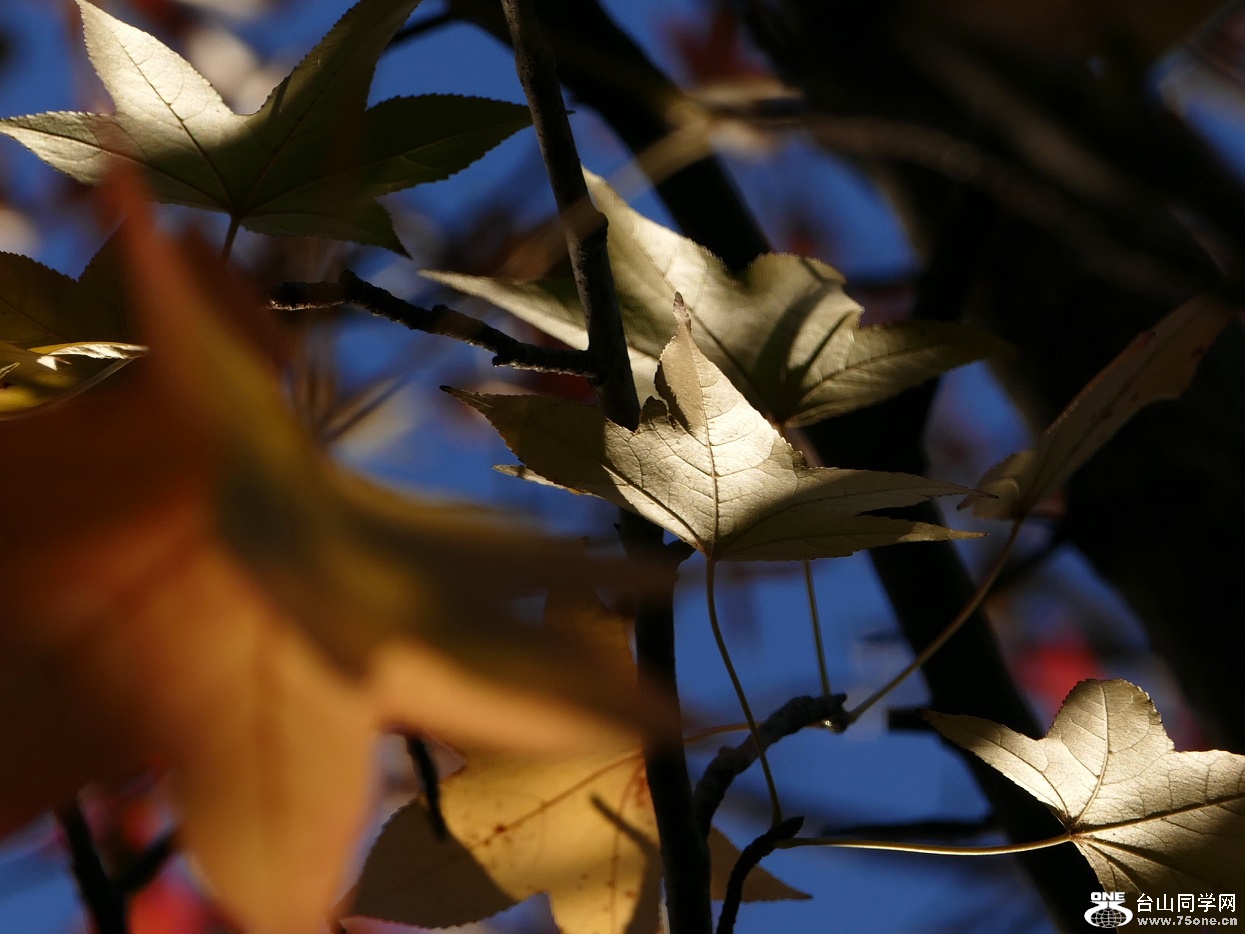 l1020846_conew1.jpg