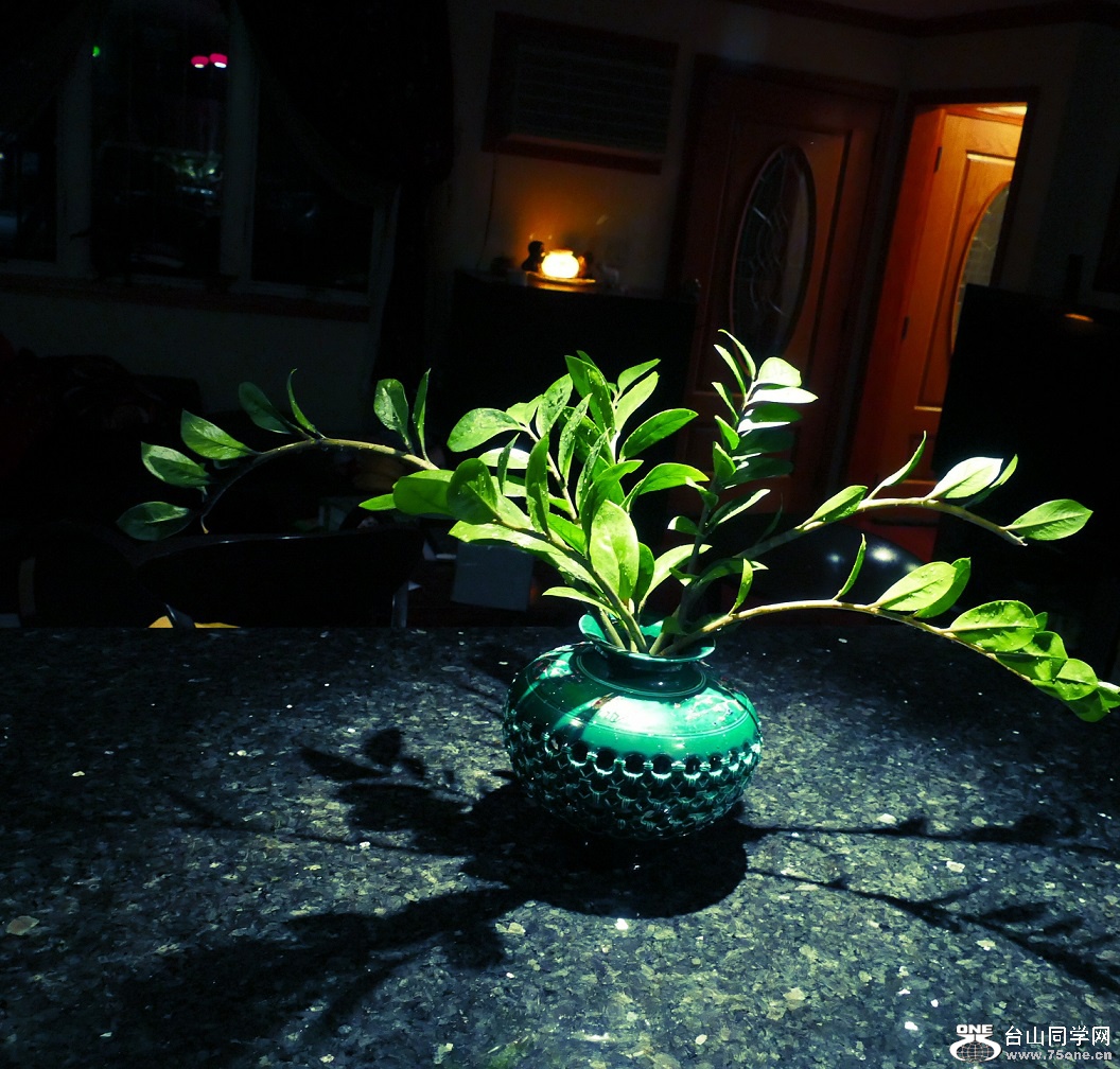 l1020820_conew1.jpg