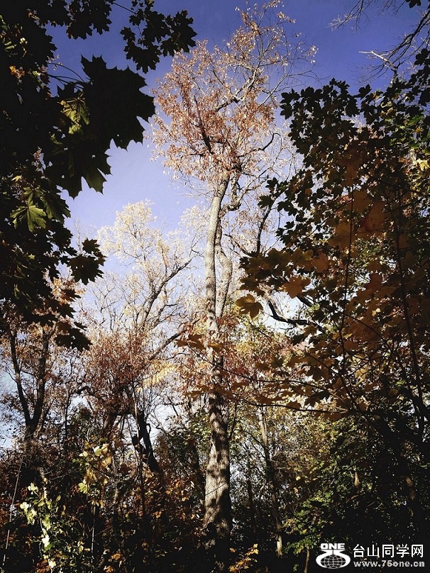 l1030265_conew2.jpg