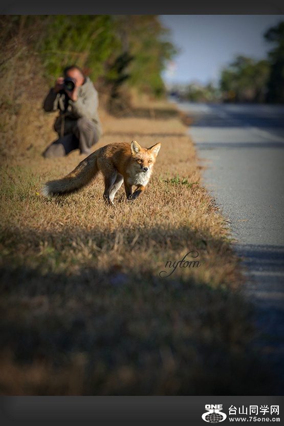 DSC_7996_.jpg