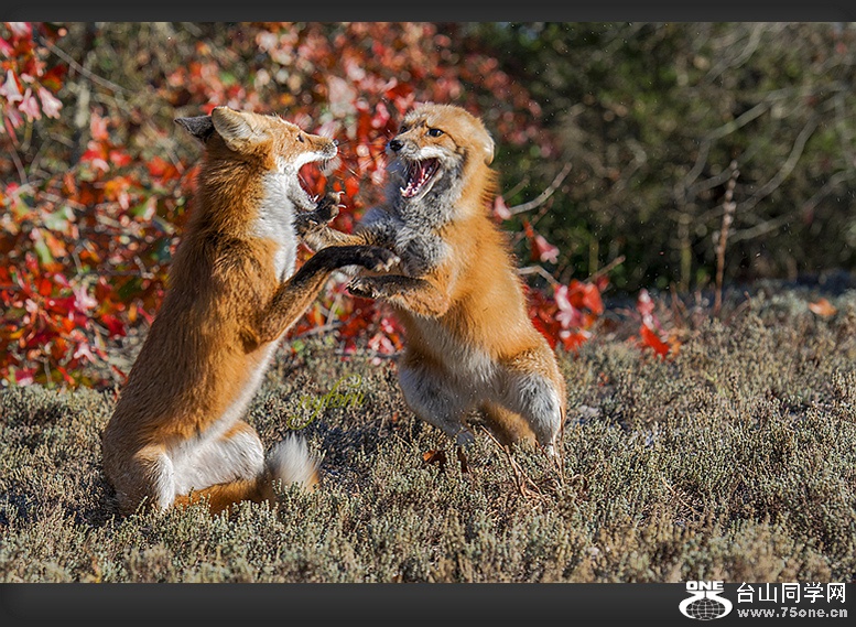 DSC_8233_.jpg