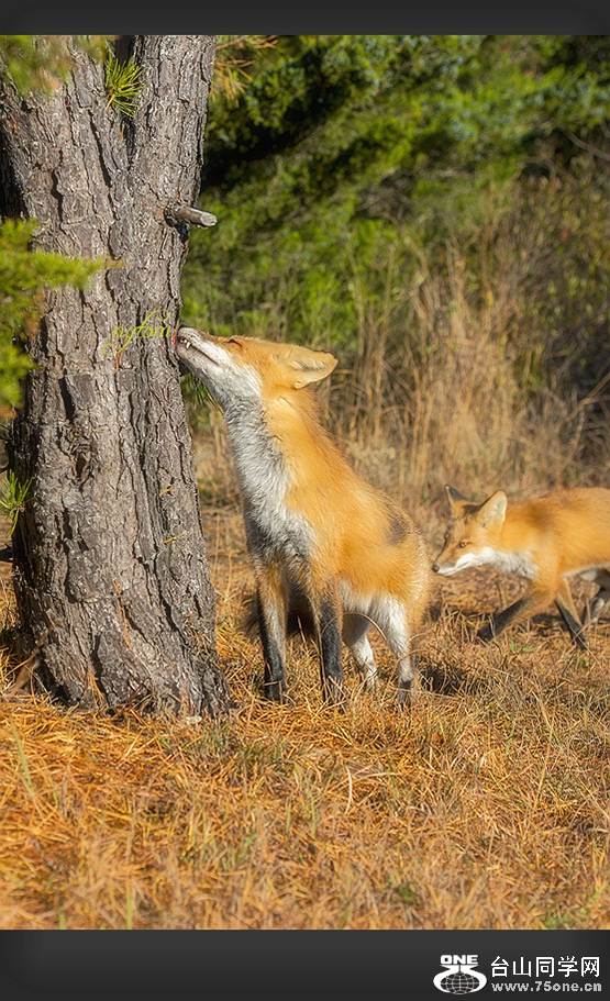 DSC_7918_.jpg