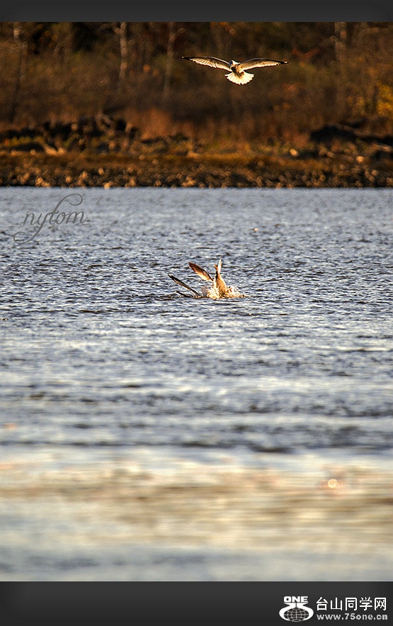 DSC_6388_.jpg