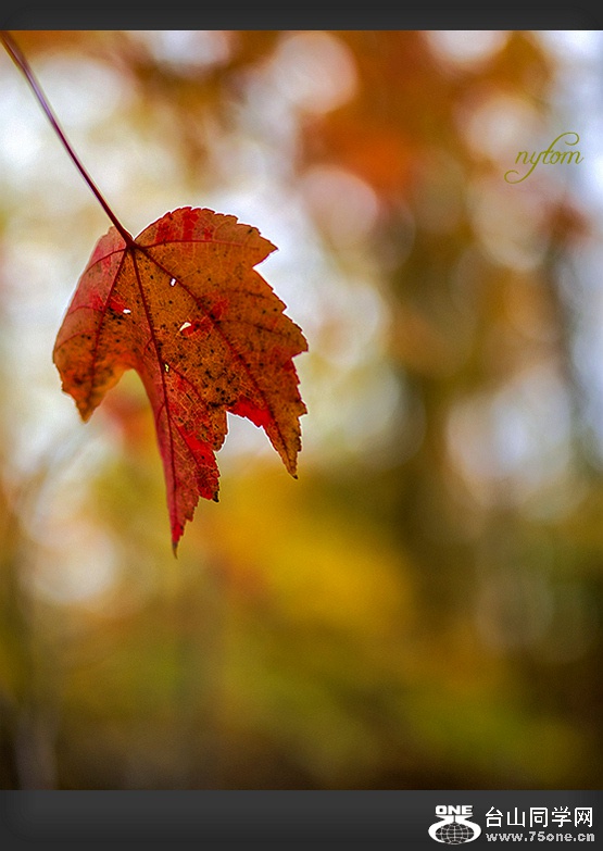 DSC_5571_.jpg