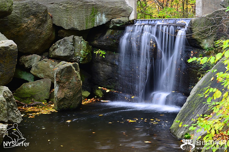 DSC_91844.jpg